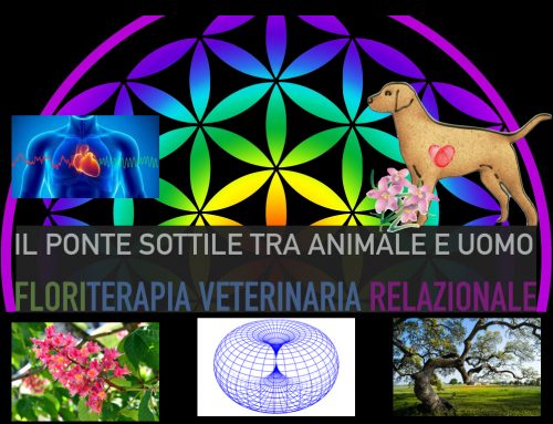 Floriterapia Veterinaria Relazionale: il Ponte Sottile tra Animale e Uomo