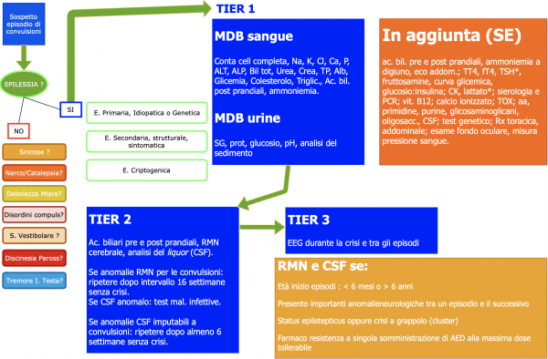 Seizures Tier 3 diagnosis