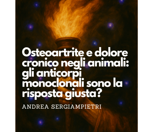 Luce di Conoscenza